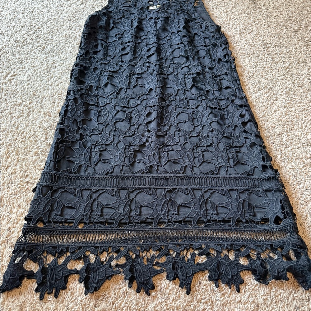 Francesca's Collections Black Floral Lace Dress